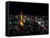 Night View of Tokyo Tower-null-Framed Stretched Canvas