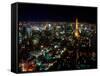 Night View of Tokyo Tower-null-Framed Stretched Canvas