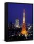 Night View of Tokyo Tower-null-Framed Stretched Canvas