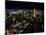 Night View of Tokyo Tower-null-Mounted Photographic Print