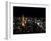 Night View of Tokyo Tower-null-Framed Photographic Print