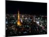 Night View of Tokyo Tower-null-Mounted Photographic Print