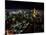 Night View of Tokyo Tower-null-Mounted Photographic Print