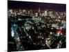 Night View of Tokyo Tower-null-Mounted Photographic Print