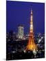 Night View of Tokyo Tower-null-Mounted Photographic Print