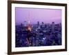 Night View of Tokyo Tower-null-Framed Photographic Print