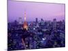 Night View of Tokyo Tower-null-Mounted Photographic Print