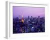 Night View of Tokyo Tower-null-Framed Photographic Print