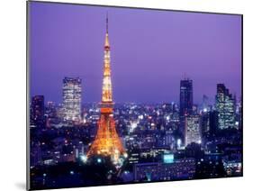 Night View of Tokyo Tower-null-Mounted Photographic Print