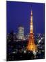 Night View of Tokyo Tower-null-Mounted Photographic Print