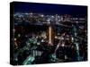 Night View of Tokyo-null-Stretched Canvas