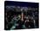 Night View of Tokyo-null-Stretched Canvas