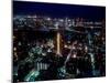 Night View of Tokyo-null-Mounted Photographic Print