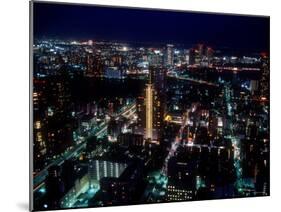 Night View of Tokyo-null-Mounted Photographic Print