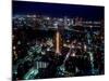 Night View of Tokyo-null-Mounted Photographic Print