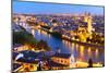 Night View of Verona City. Italy-Dudarev Mikhail-Mounted Photographic Print