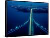 Night view of Verrazano-Narrows Bridge, New York City, New York State, USA-null-Framed Stretched Canvas