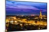 Night View over Arno River in Florence, Italy-David Ionut-Mounted Photographic Print