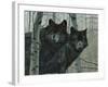 Night Watch-Rusty Frentner-Framed Giclee Print