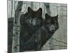 Night Watch-Rusty Frentner-Mounted Giclee Print