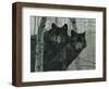 Night Watch-Rusty Frentner-Framed Giclee Print