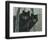 Night Watch-Rusty Frentner-Framed Giclee Print