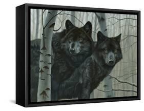 Night Watch-Rusty Frentner-Framed Stretched Canvas