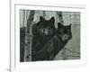 Night Watch-Rusty Frentner-Framed Giclee Print