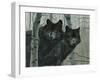 Night Watch-Rusty Frentner-Framed Giclee Print