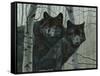 Night Watch-Rusty Frentner-Framed Stretched Canvas