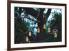 Night Wedding Ceremony with a Lot of Candles and Vintage Lamps on Big Tree-Breslavtsev Oleg-Framed Photographic Print