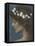 Night-Edward Robert Hughes-Framed Stretched Canvas