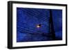 Night-André Burian-Framed Photographic Print