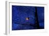 Night-André Burian-Framed Photographic Print