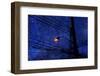 Night-André Burian-Framed Photographic Print