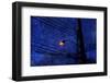 Night-André Burian-Framed Photographic Print