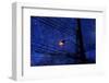 Night-André Burian-Framed Photographic Print