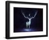 Nightbringer-JoJoesArt-Framed Giclee Print