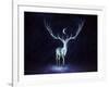 Nightbringer-JoJoesArt-Framed Giclee Print