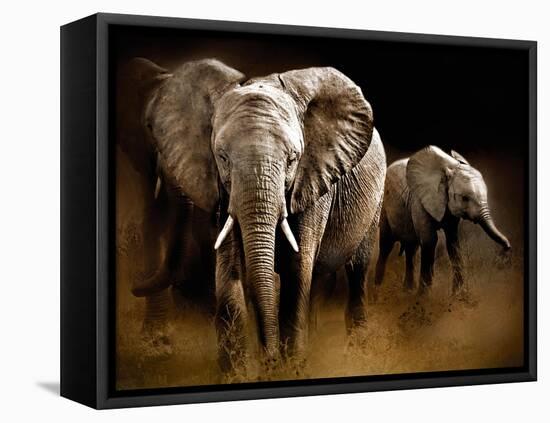 Nightfall-Bobbie Goodrich-Framed Stretched Canvas