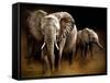 Nightfall-Bobbie Goodrich-Framed Stretched Canvas