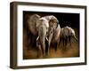 Nightfall-Bobbie Goodrich-Framed Art Print