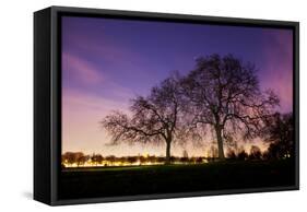 Nightime in Hyde Park, London-Alex Saberi-Framed Stretched Canvas