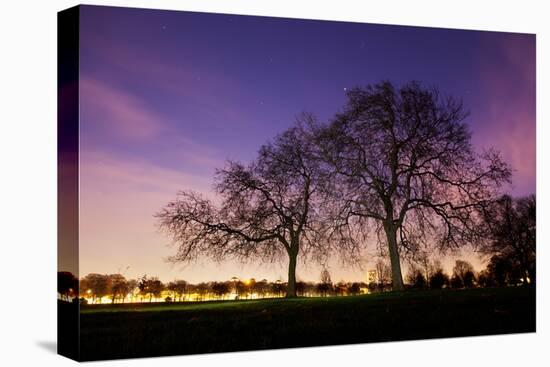 Nightime in Hyde Park, London-Alex Saberi-Stretched Canvas