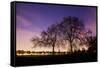 Nightime in Hyde Park, London-Alex Saberi-Framed Stretched Canvas