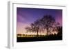 Nightime in Hyde Park, London-Alex Saberi-Framed Premium Photographic Print