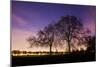 Nightime in Hyde Park, London-Alex Saberi-Mounted Premium Photographic Print