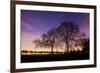 Nightime in Hyde Park, London-Alex Saberi-Framed Photographic Print