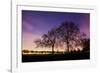 Nightime in Hyde Park, London-Alex Saberi-Framed Photographic Print