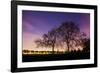 Nightime in Hyde Park, London-Alex Saberi-Framed Photographic Print